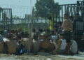 peor-crisis-migratoria-sufre-ceuta-inaccion-marruecos-fotos-frontera-inmigrantes-nado-guardia-civil-268
