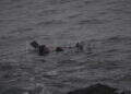 peor-crisis-migratoria-sufre-ceuta-inaccion-marruecos-fotos-frontera-inmigrantes-nado-guardia-civil-42