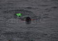 peor-crisis-migratoria-sufre-ceuta-inaccion-marruecos-fotos-frontera-inmigrantes-nado-guardia-civil-49