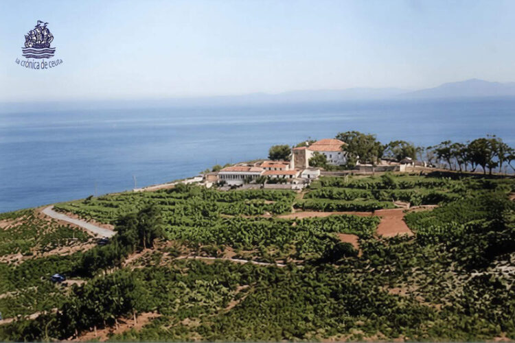 san-antonio-ermita-sobrevivio-disfrazada-bosque-140