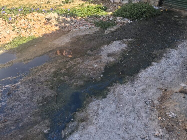 suciedad-malos-olores-cucarachas-averia-agua-calvario-vecinos-1