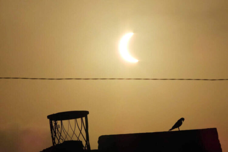 ceuta-mira-cielo-disfrutar-eclipse-solar-devuelve-ilusion-Image-2026-08-12-at-20.56.48-3-750x500-portada