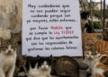 gracias-cuidadoras-colonias