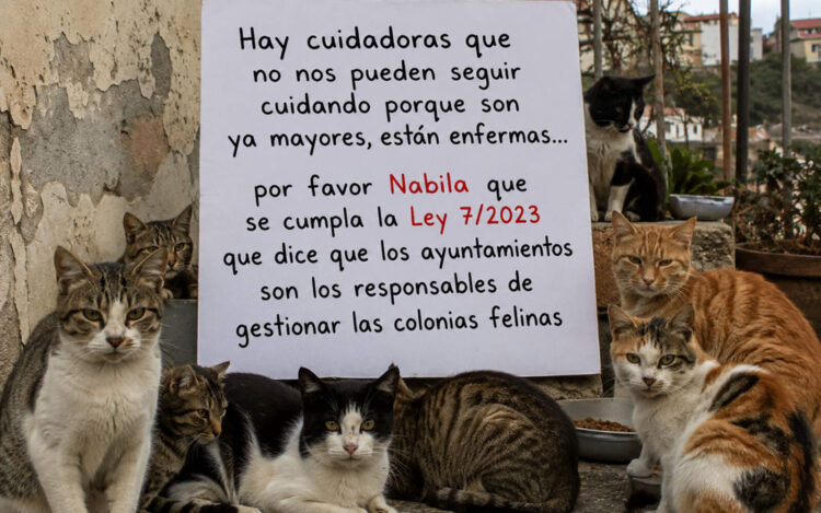 gracias-cuidadoras-colonias