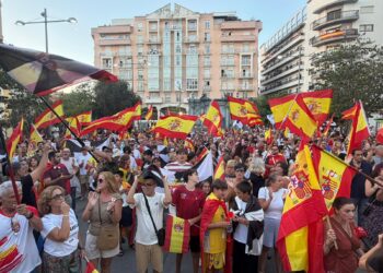 manifestacion-plaza-reyes-grito-fuera-invasores-contra-delegado-gobierno-8