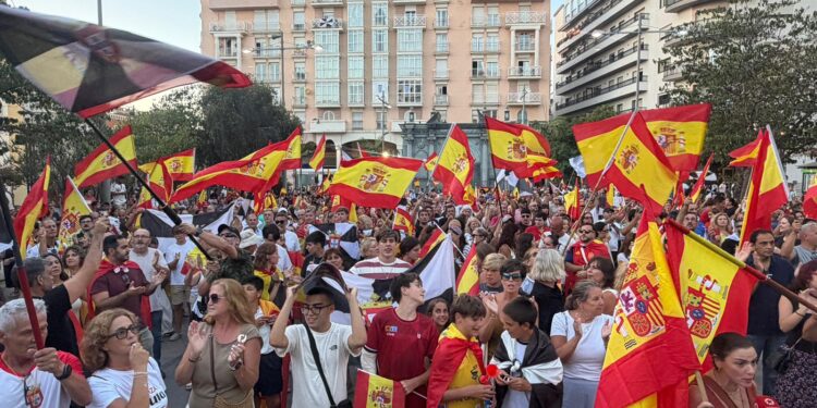 manifestacion-plaza-reyes-grito-fuera-invasores-contra-delegado-gobierno-8