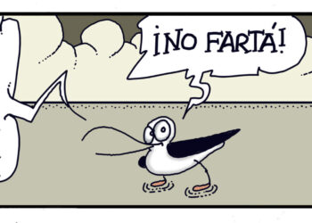 martes-1-septiembre-2026