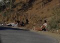 playa-trampolin-afueras-ceti-vida-avalanchas-ceuta-9