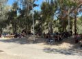 playa-trampolin-ceti-nueva-normalidad-precaria-sala-espera-8