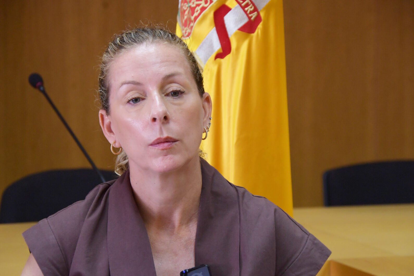 silvia-rojas-fiscal-jefe-ceuta-no-puede-asumir-sola-responsabilidad-dar-asistencia-menores-9