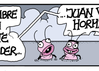 Lunes 14 de septiembre de 2026
