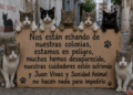 animalistas-ceuta-estamos-tristes-abandonados