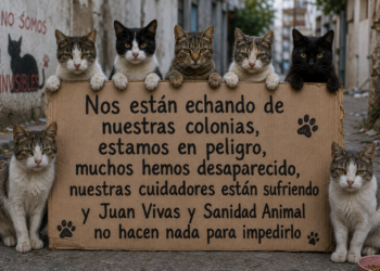 animalistas-ceuta-estamos-tristes-abandonados