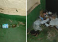 basura-botellas-orines-inmediaciones-reina-sofia-ampa-pide-soluciones