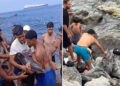 delfin-oca-pulpo-graves-agresiones-ceuta-documentadas-daubma