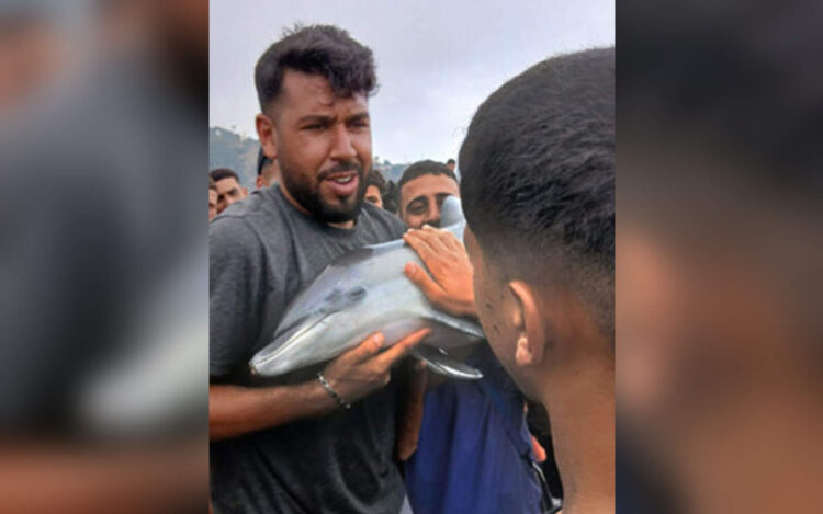 inmigrantes-grabados-cria-delfin-sacaron-agua-golpearon-750x422 copia