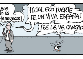 Sábado 17 de octubre de 2026