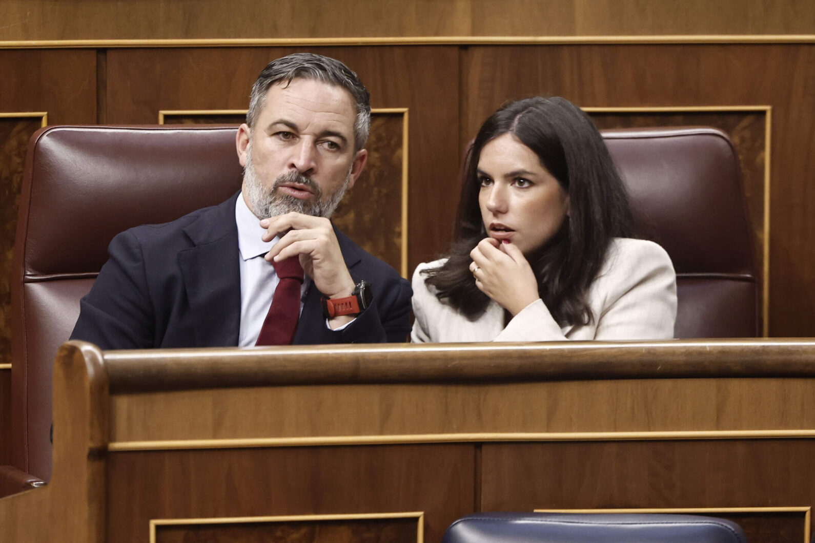 abascal-congreso-diputados