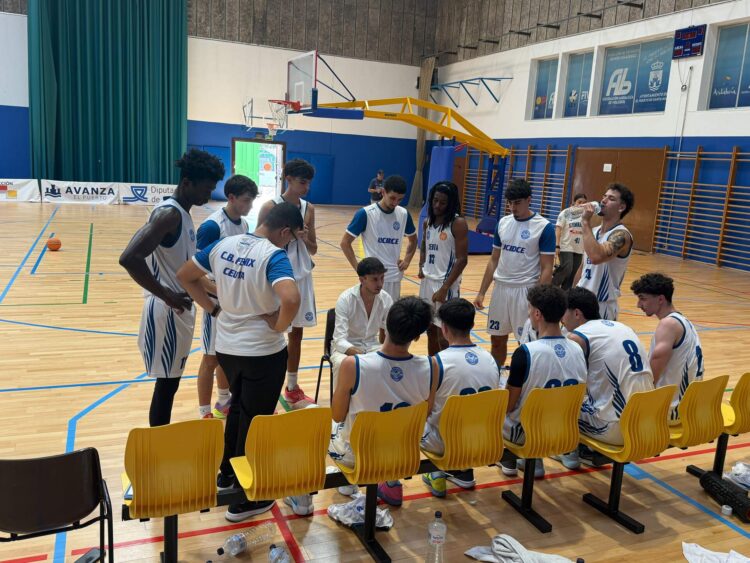 El Fénix pierde pero “sigue dando pasos de gigante” (81-46)