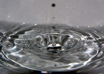 El MANEJO DEL H2O