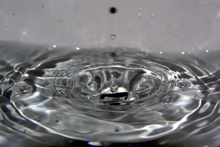 El MANEJO DEL H2O